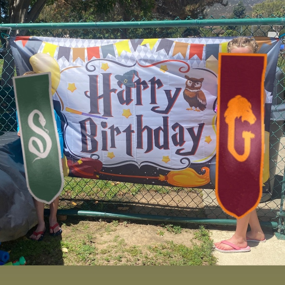 Harry Potter birthday party items